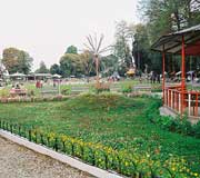 Nightingale Park at Darjeeling